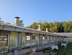 Rekonstrukce haly chovu prasat